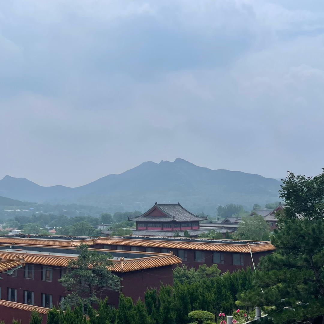 桩炎