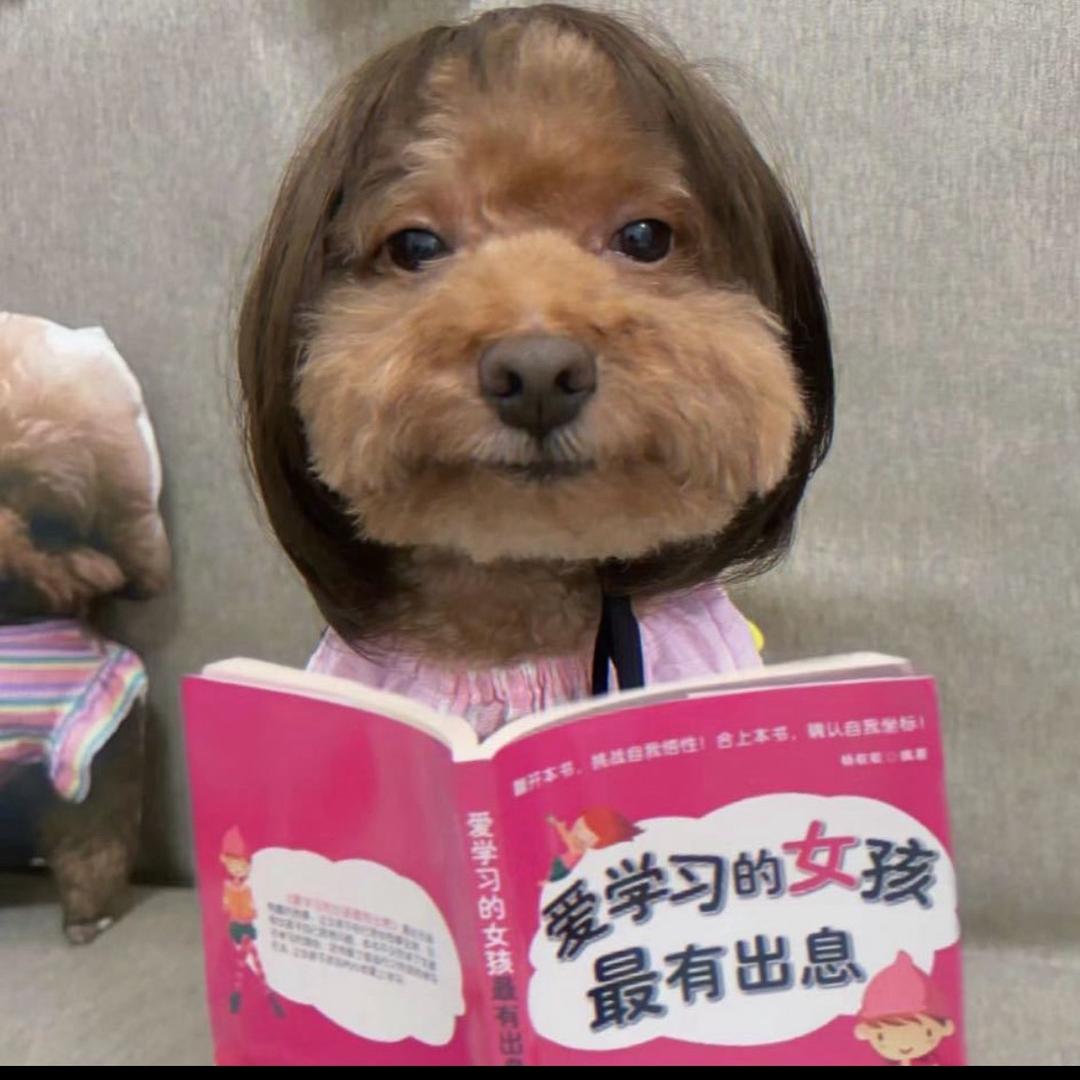 破防姐