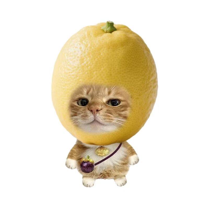 小小林