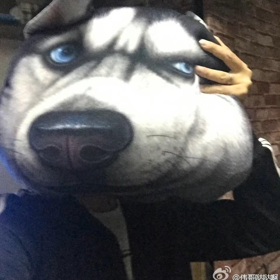 山南水北（许嵩演唱会上屏版）