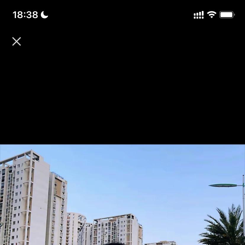 岑贤潮玩店-阳哥直播号
