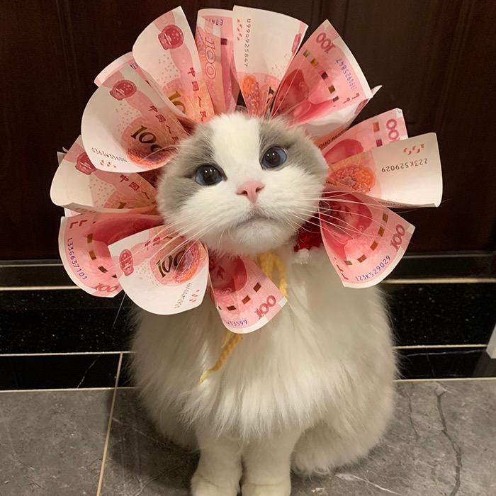 菁菁妹儿