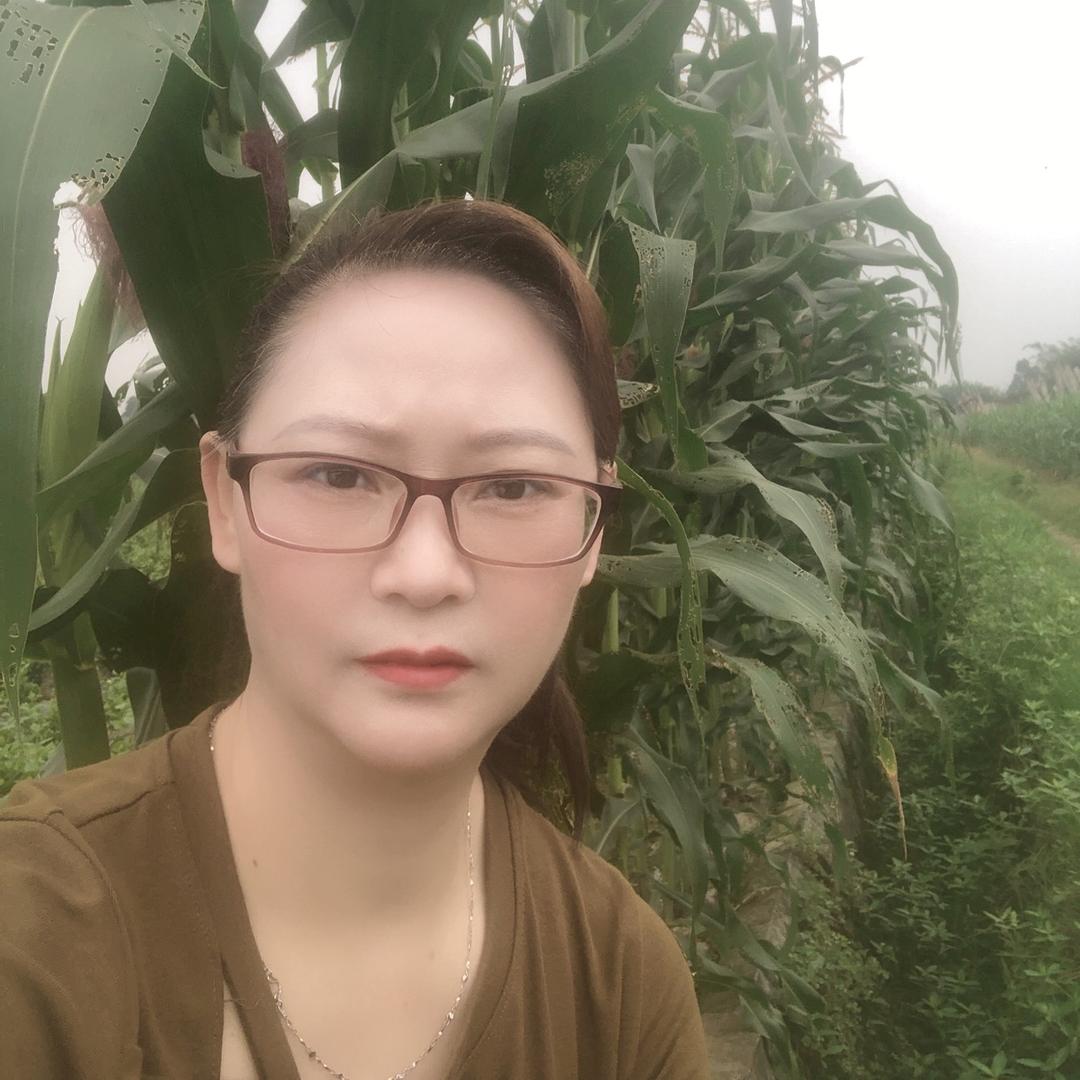 车八孃