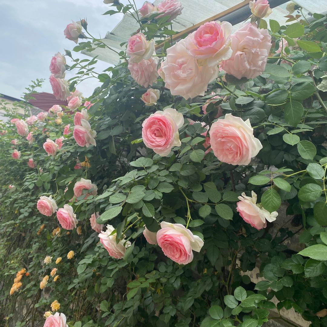 相由心生 境随心转