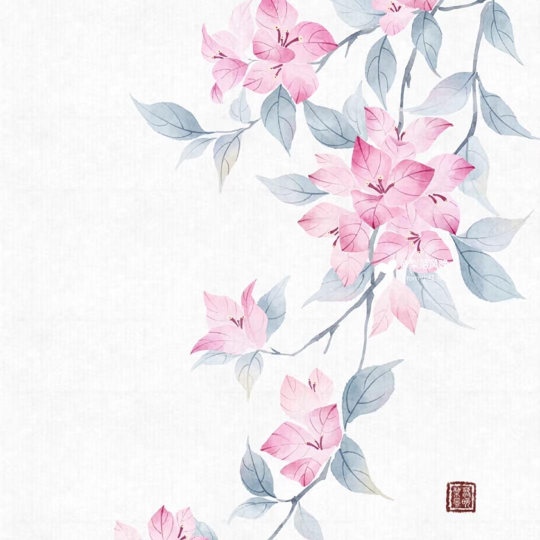花卉甄选三角梅