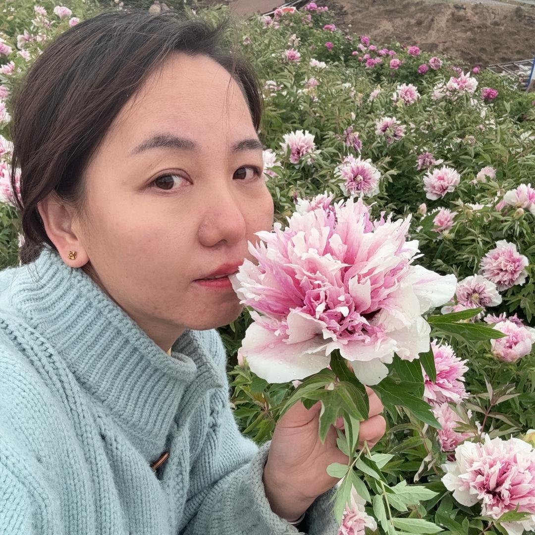 赵家娃的牡丹花