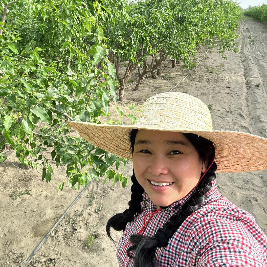 沙漠里种枣的东北妞(顺顺)