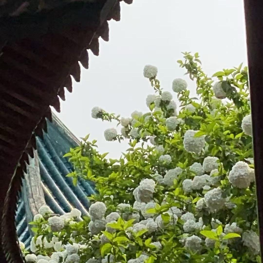 俊逸