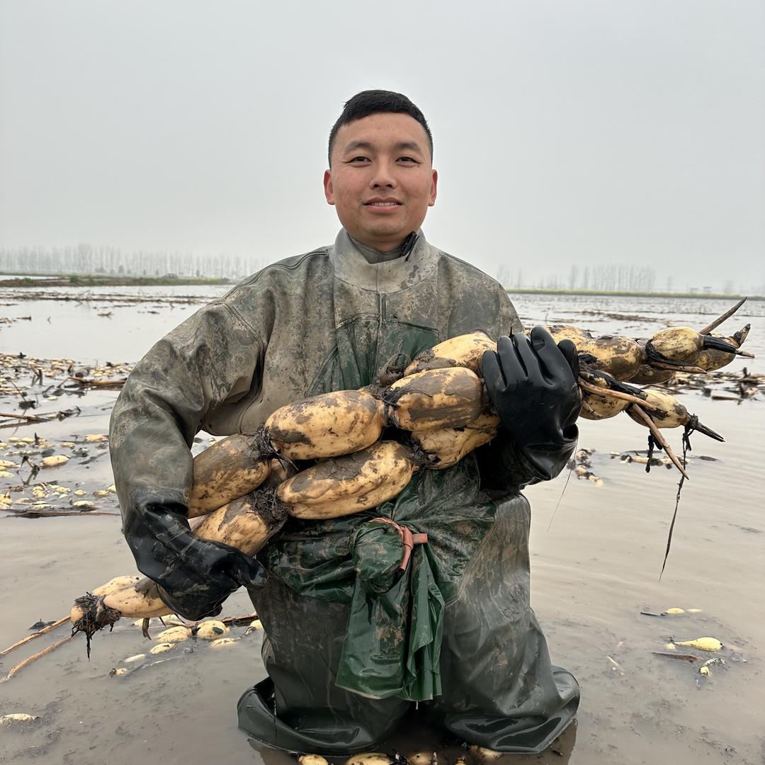 李宴初非遗纯藕粉