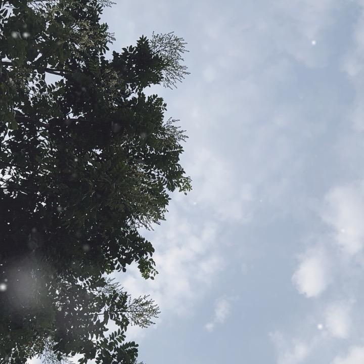 长 成