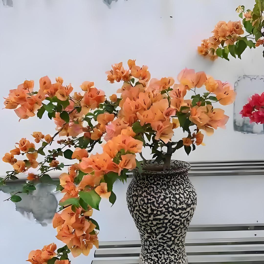 宜良花卉臻选阁