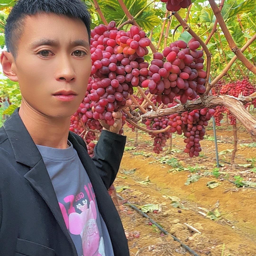 刘非—葡萄🍇代办，代发