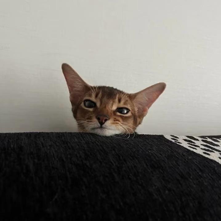Kiko