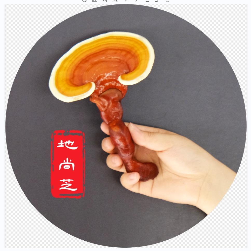 芝人堂芝神农灵芝专卖店