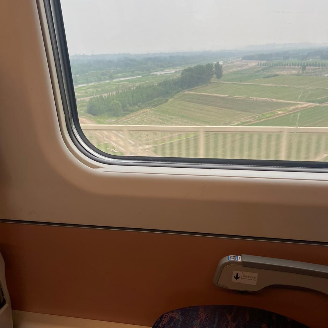 爱家爱生活life—小虎