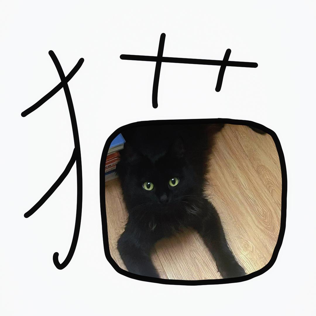 黑猫堆堆🐈‍⬛