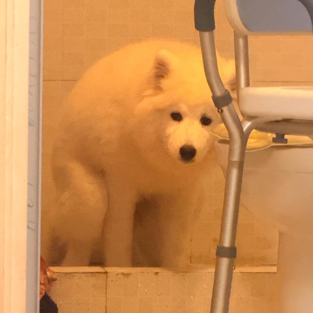 撒哈拉