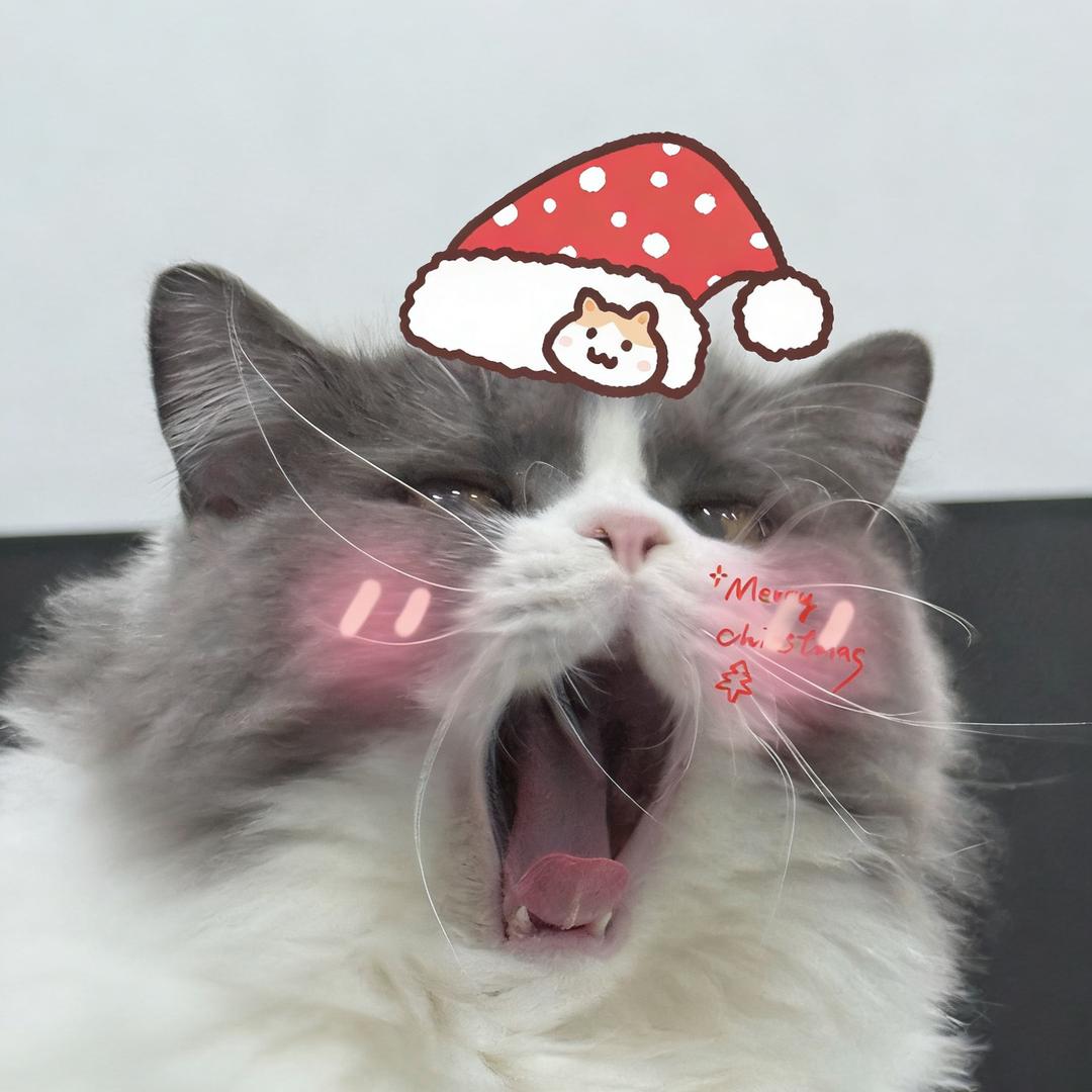 🌈好玩的小橙子