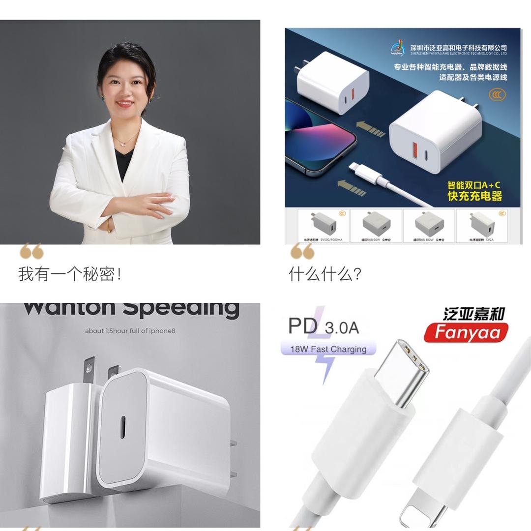 电源充电器厂家泛亚嘉和