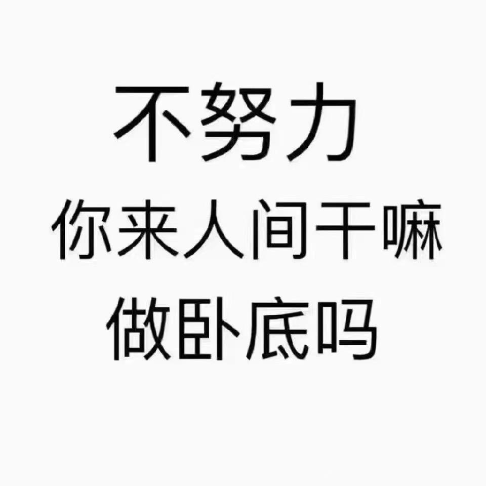 ✨🌈忆往昔🌈✨