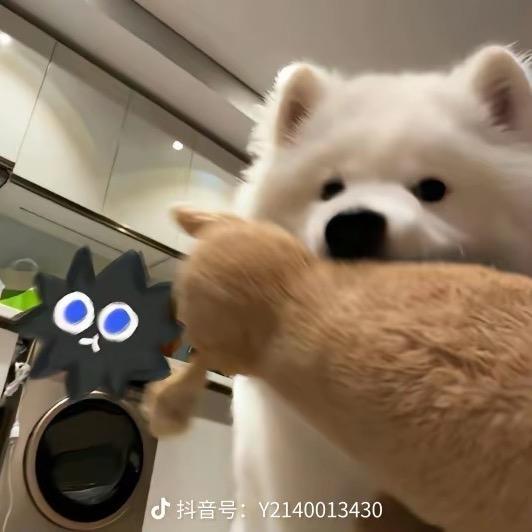 清纯萝莉魏忠贤