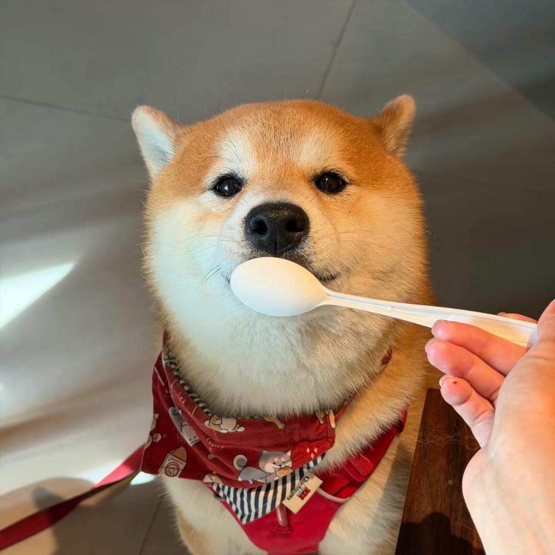 🌈哔哔啵啵叭叭嘣💨