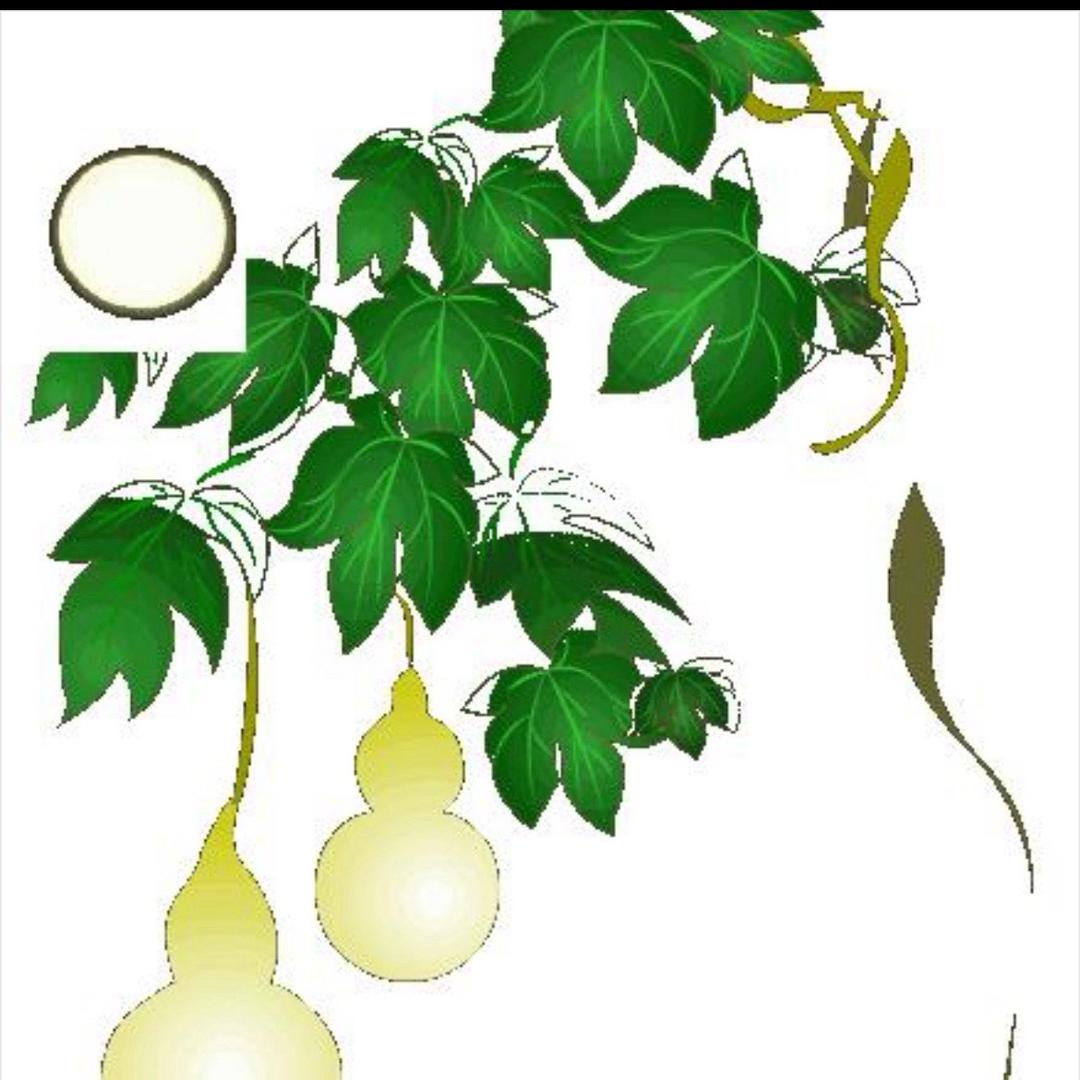 如果人生可以重来