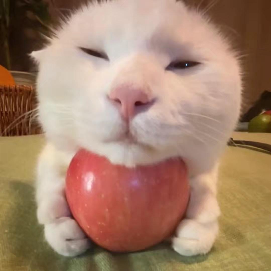 努努