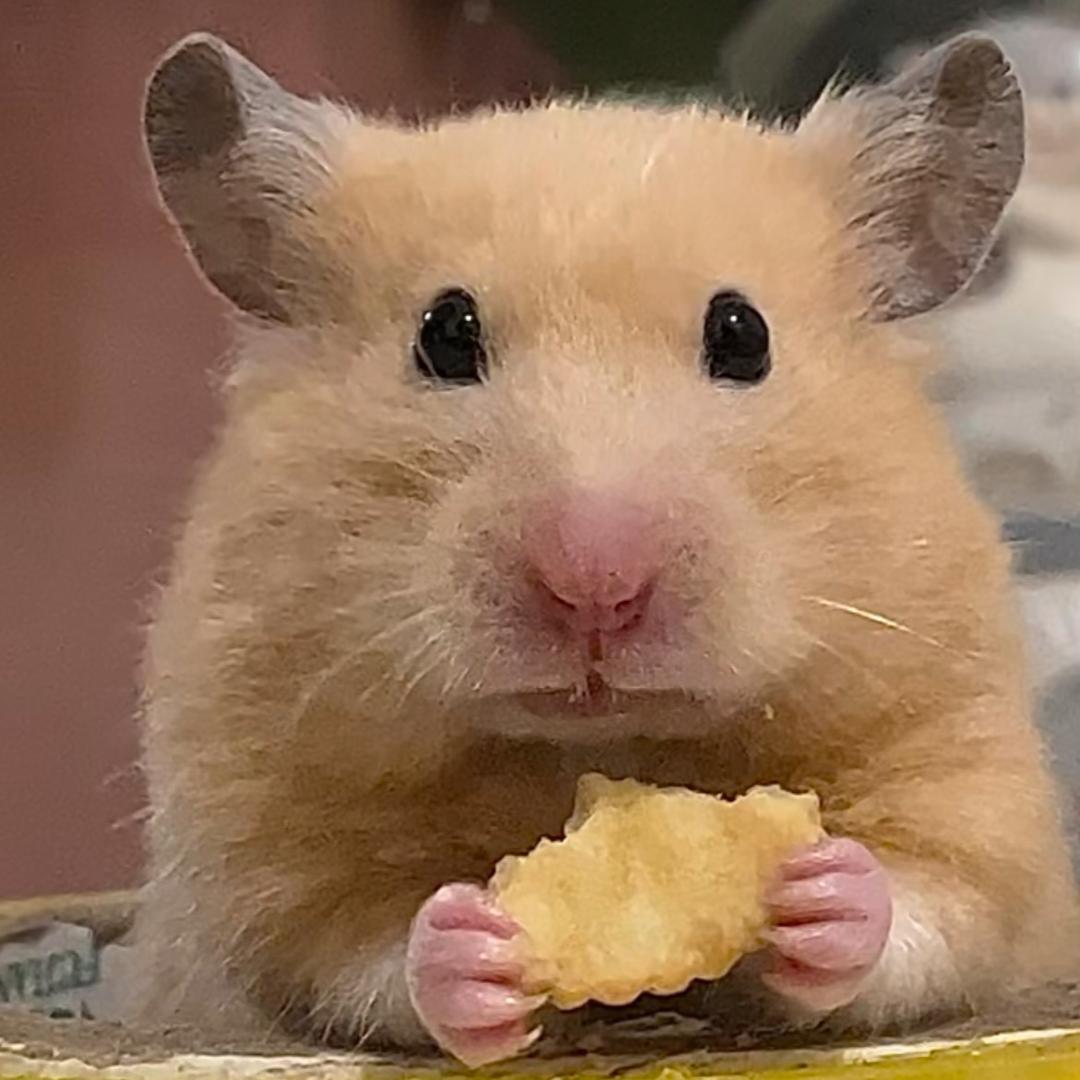 人生無處不青山