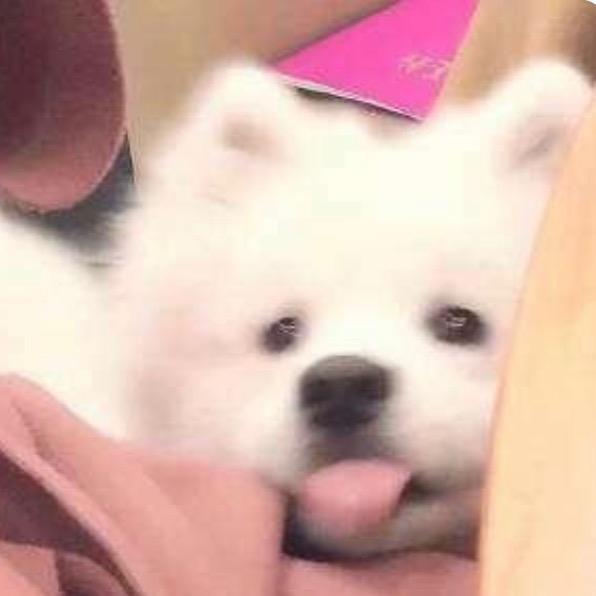 菠萝萝卜