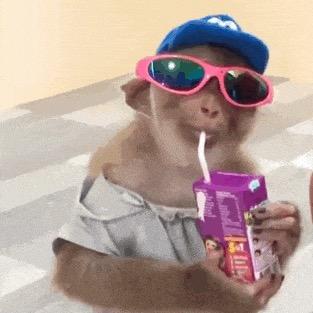 一只真正的猛禽🌈