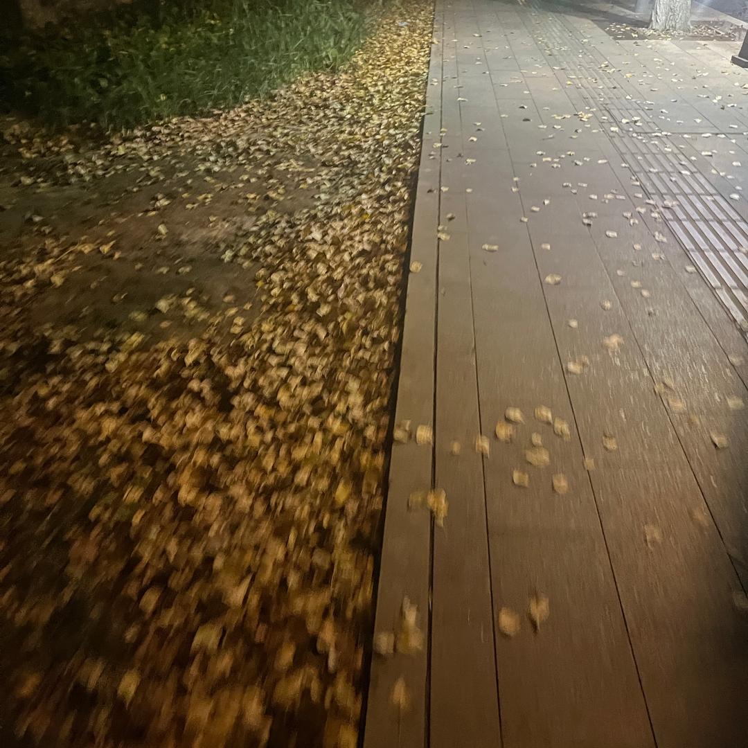 用户1031
