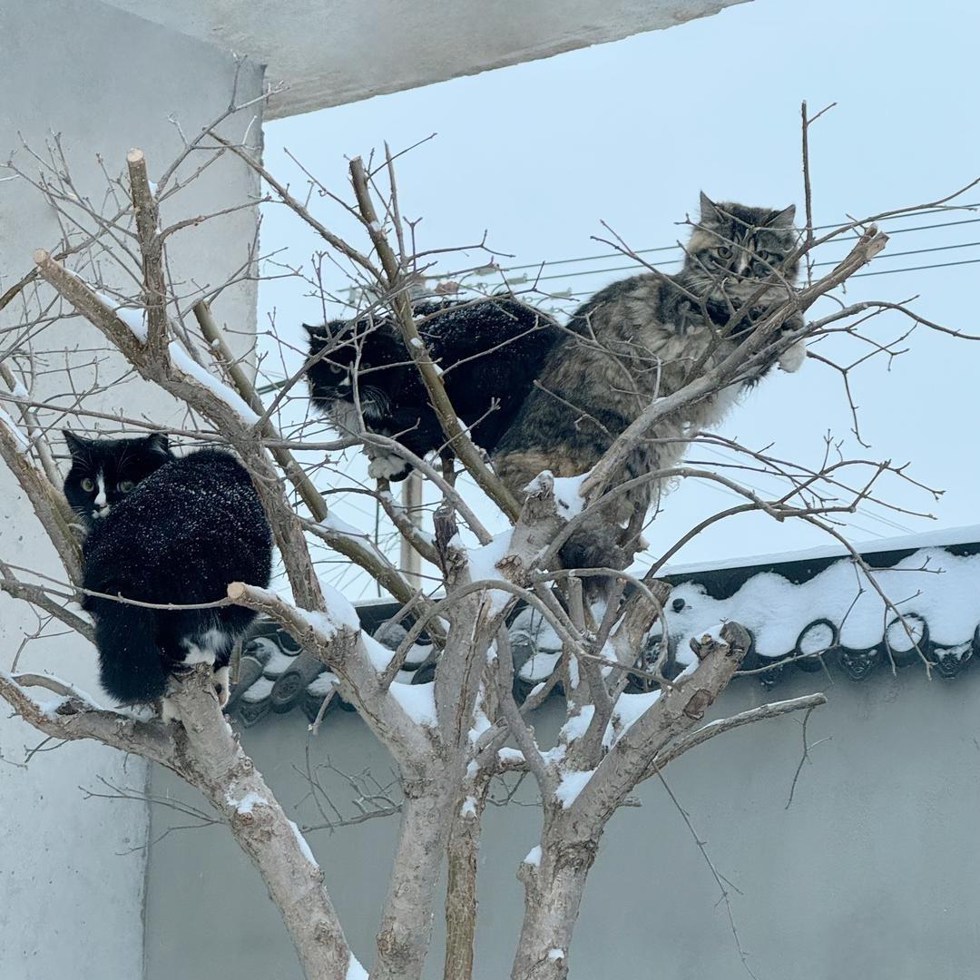 阳光小院