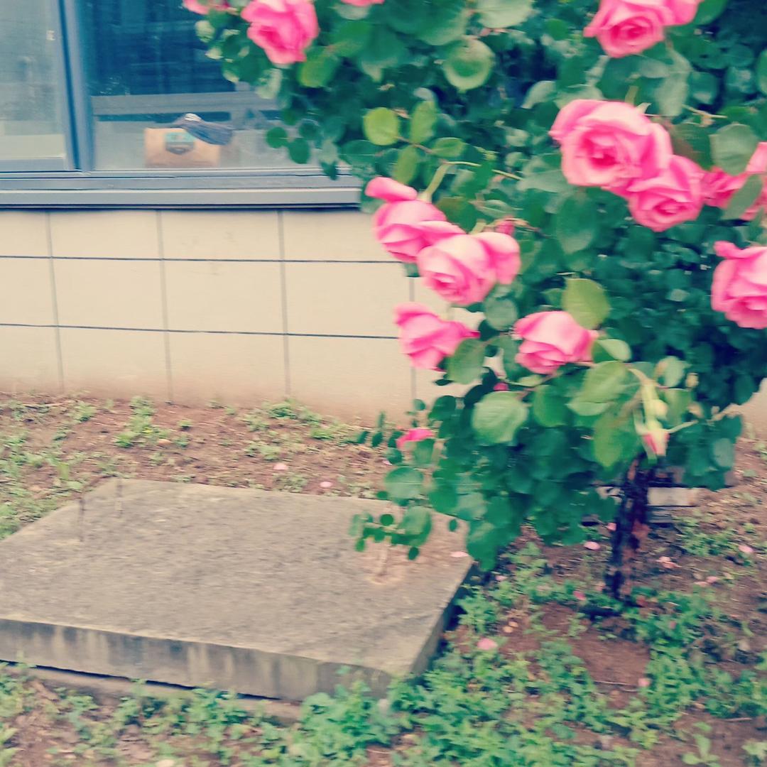 组长，珍珍