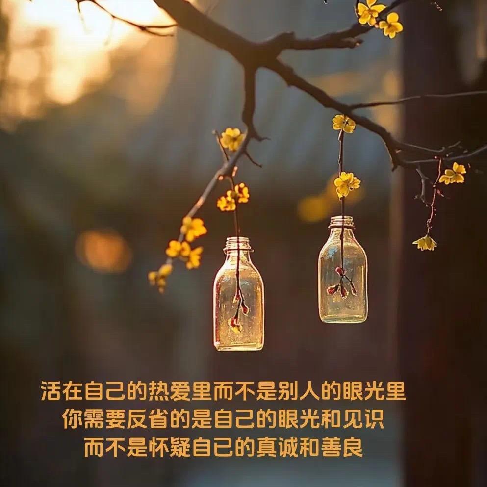 专做低首付车