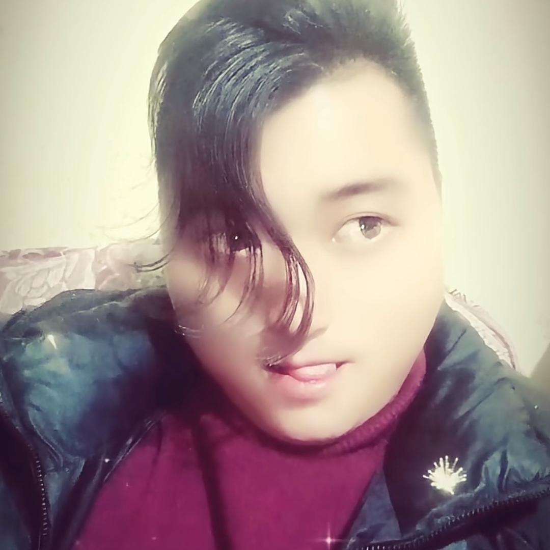 肥迪