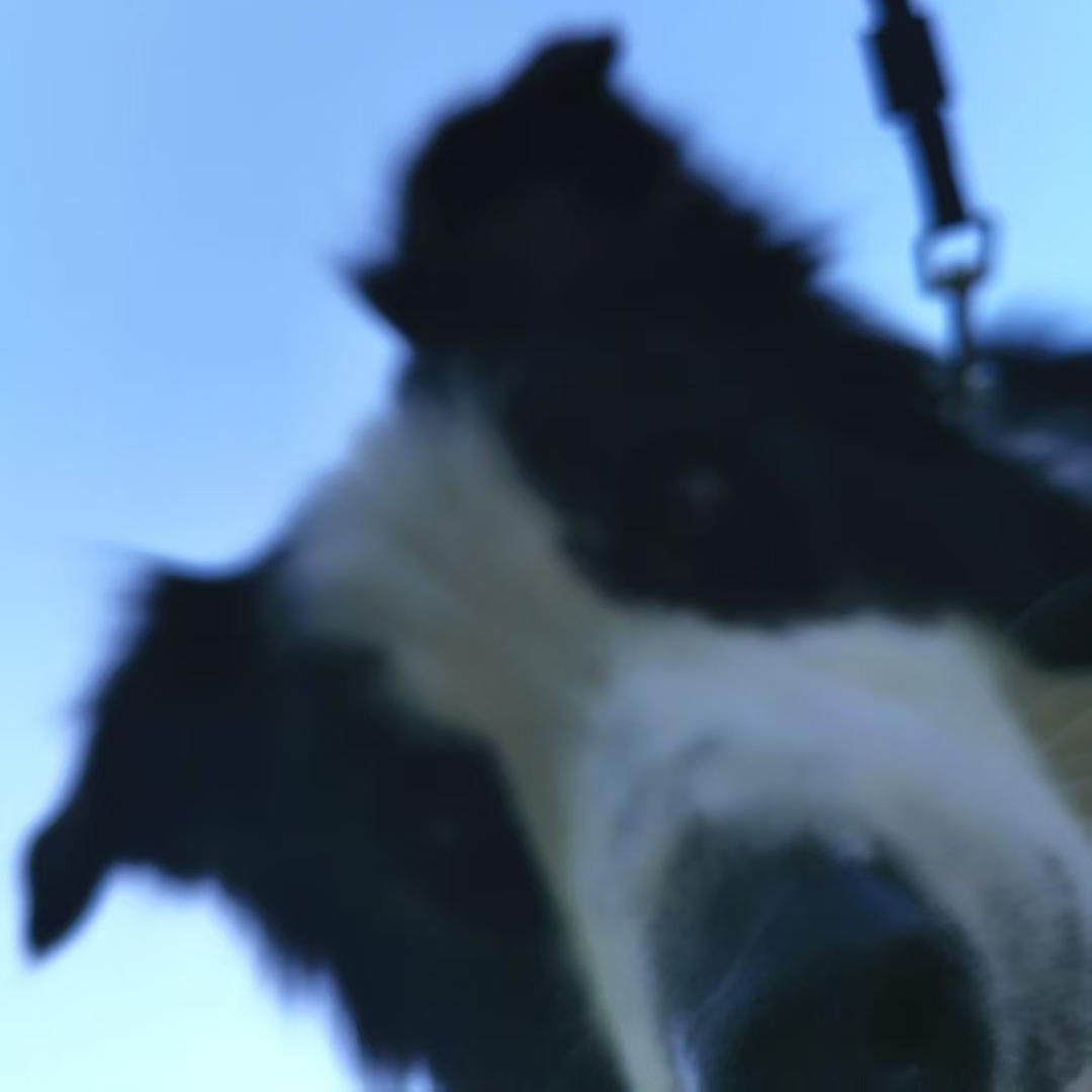 5201314