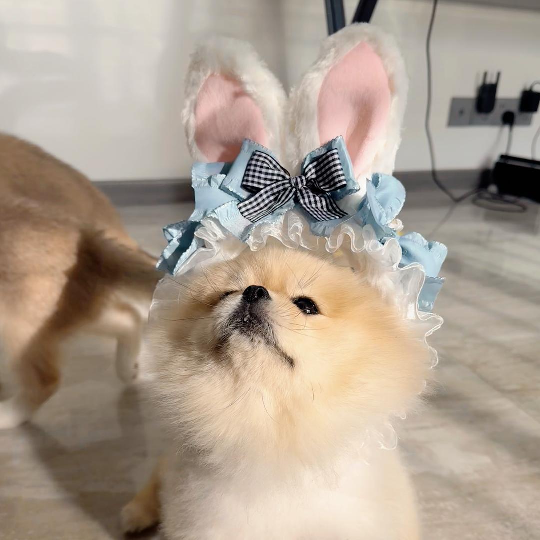 甜甜甜甜甜齁啦