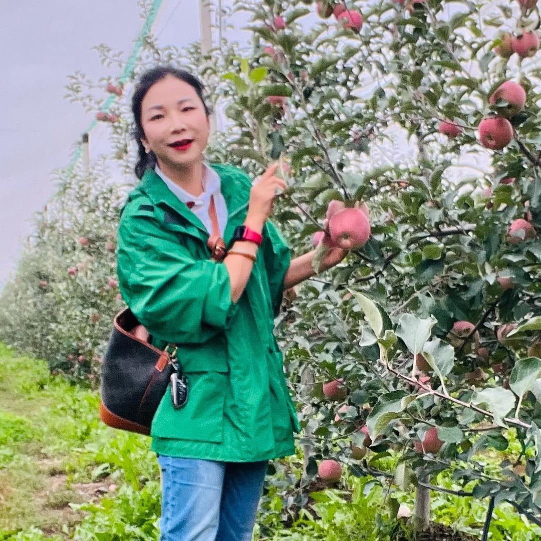 王晓🍎秦脆苹果