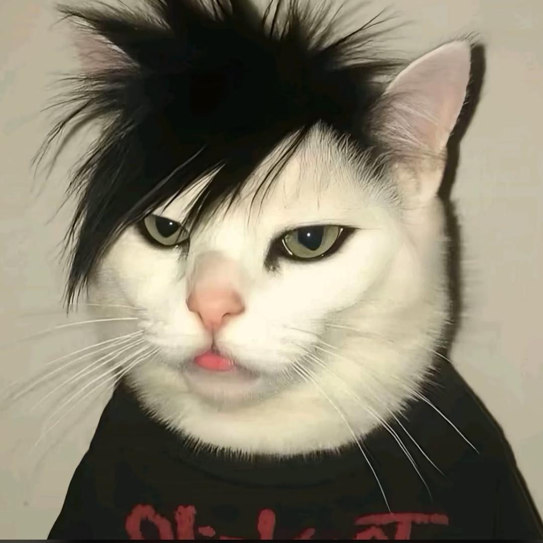 蔡狗