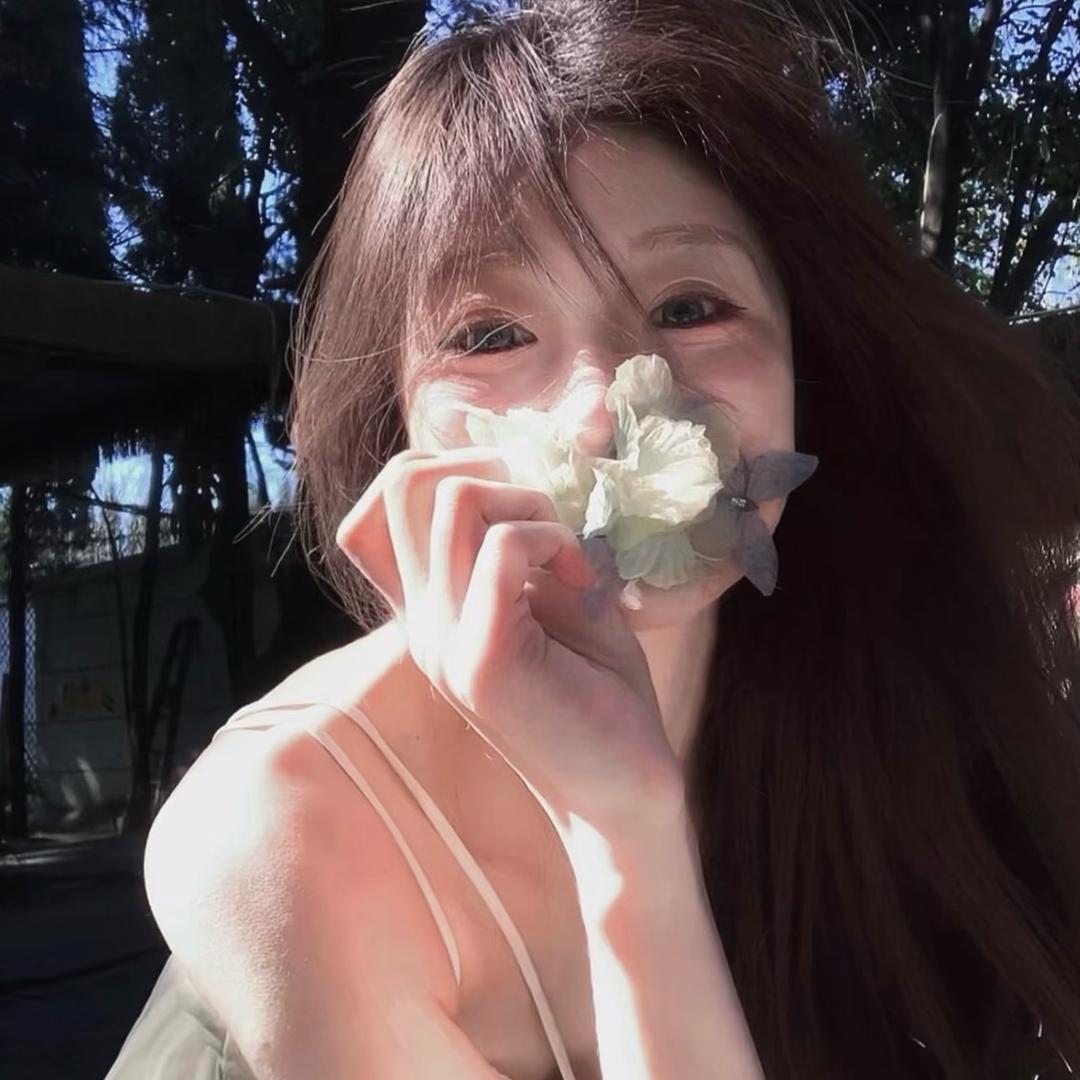 多肉鲨鱼（小个子）