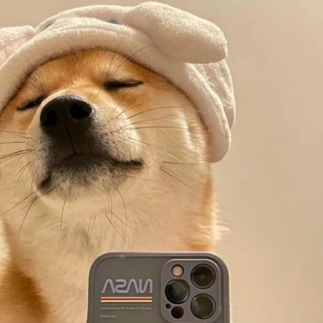 小小的人啊🧙