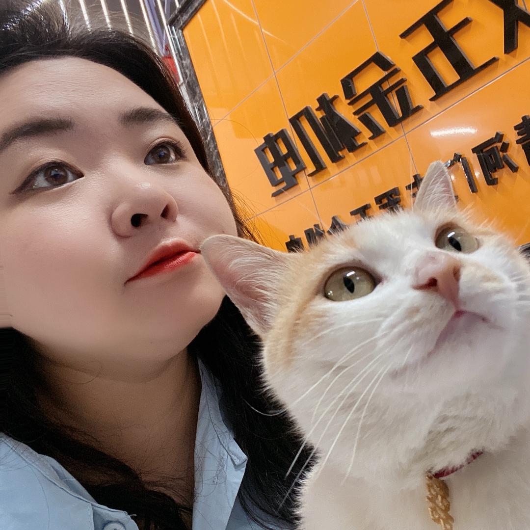 好大一只🍊