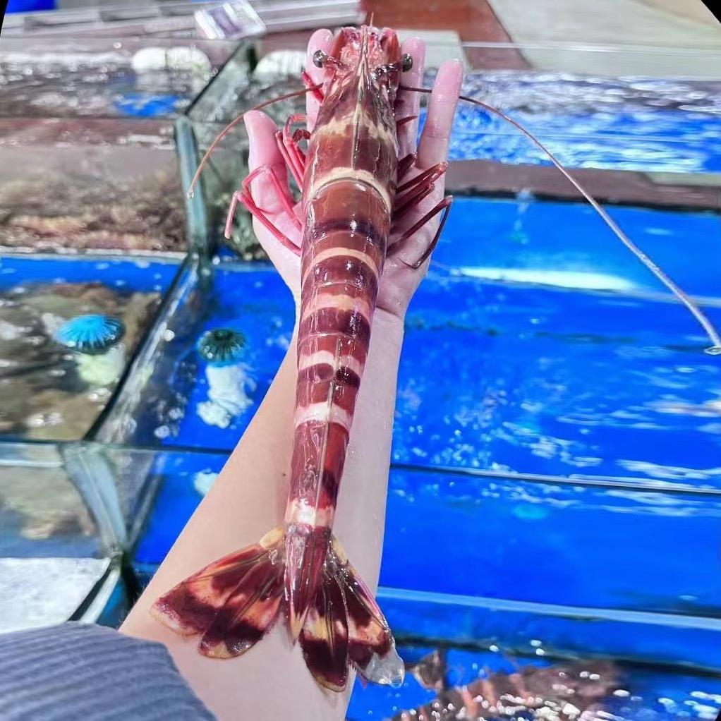 企沙瑜记海鲜