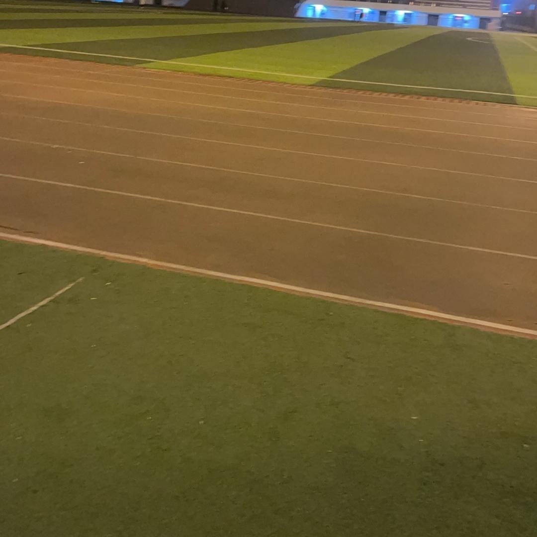 大壮的毛绒工厂