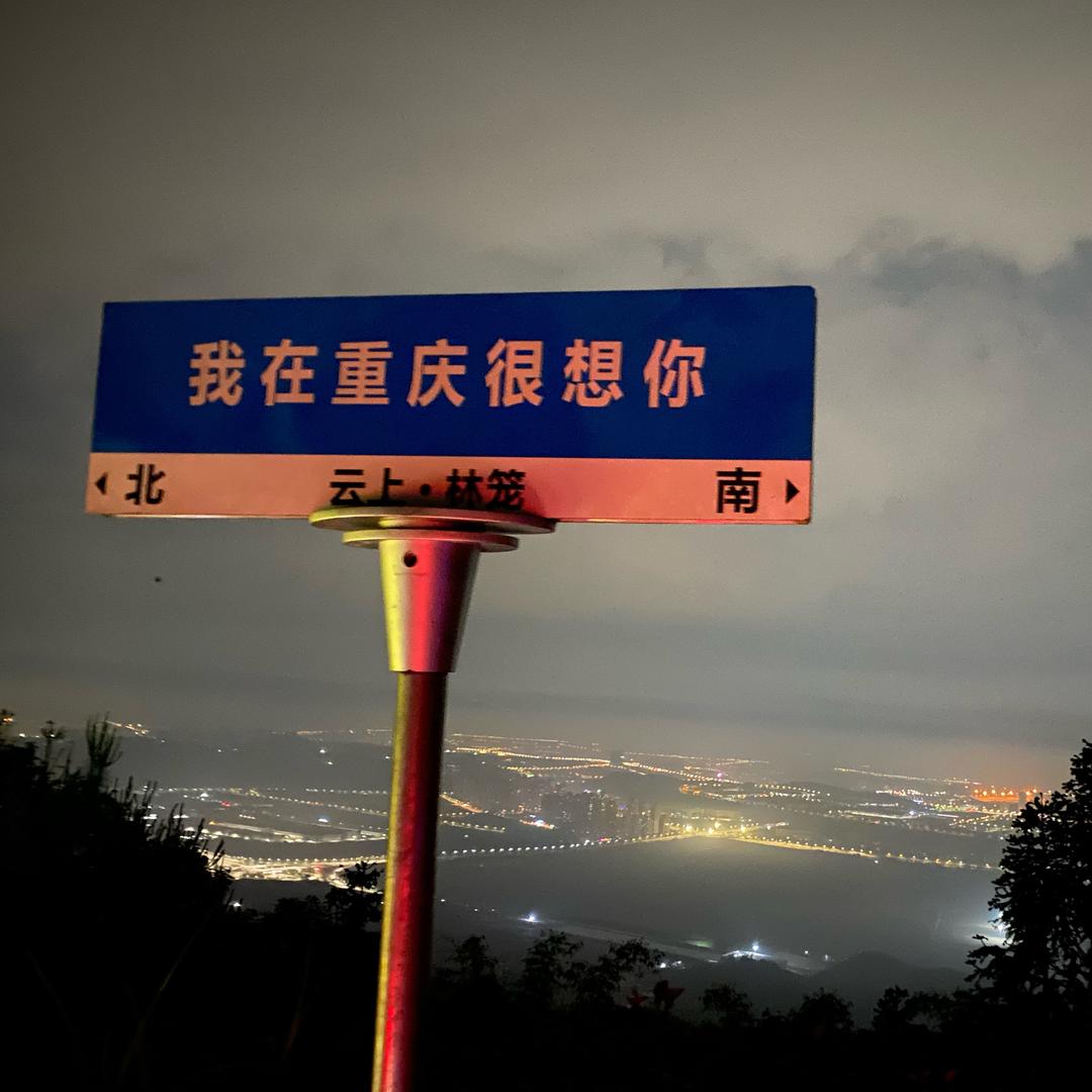 明天绝不熬夜