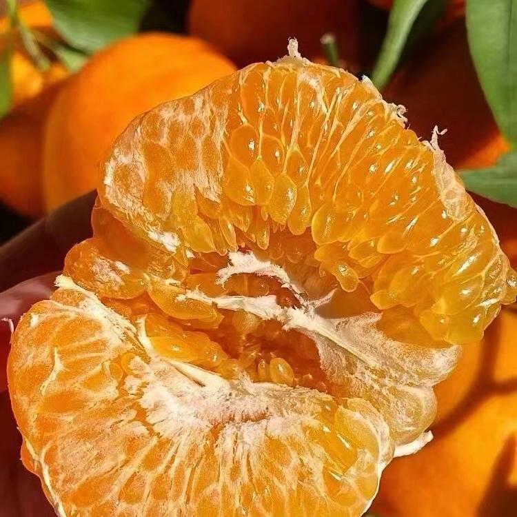 好吃水果-春见耙耙柑