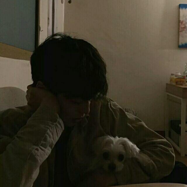 晚枫
