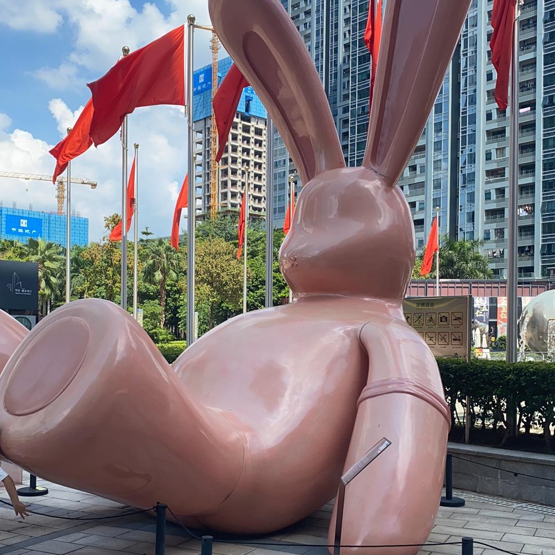 暹罗猫
