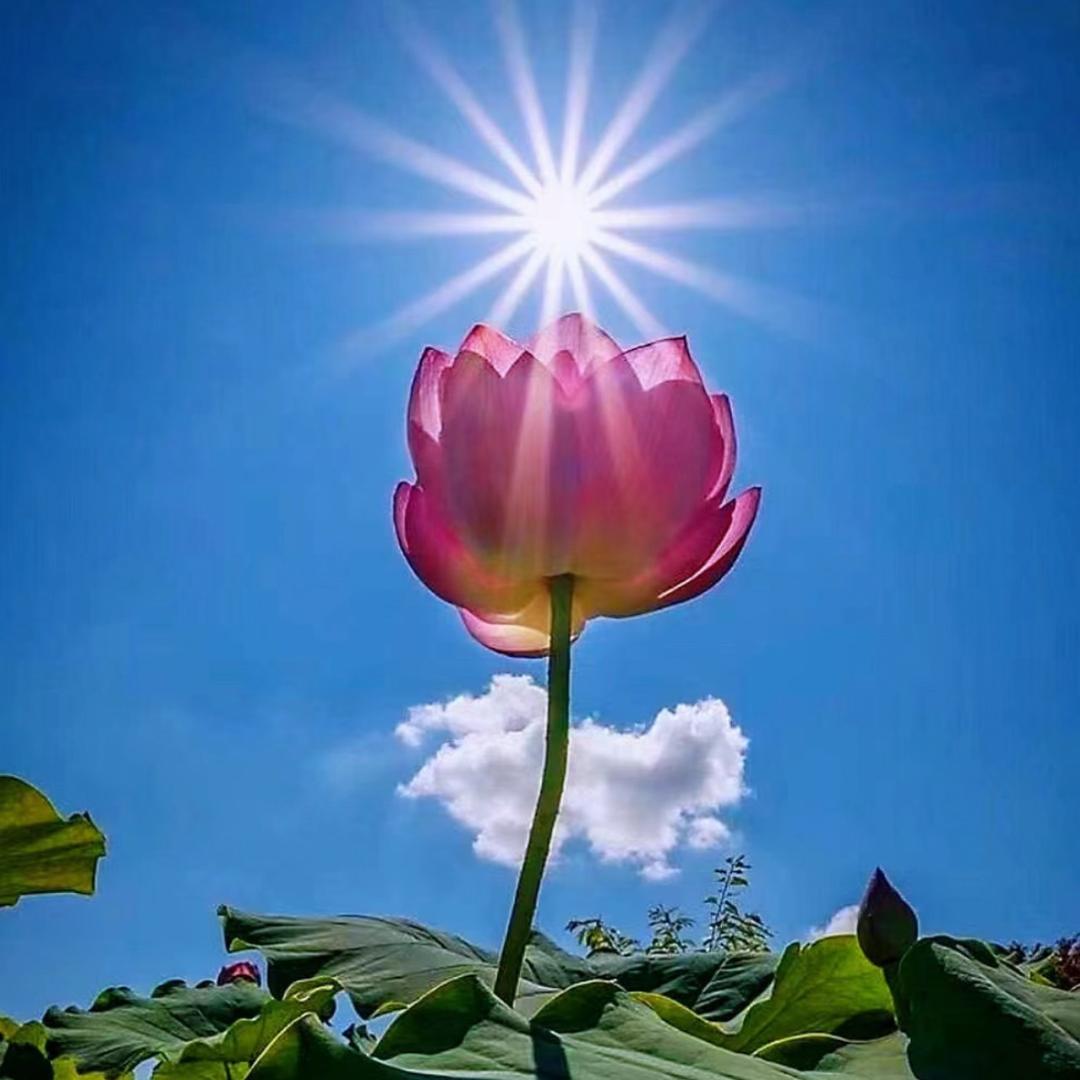 哈哈哈哈哈哈哈哈哈哈哈